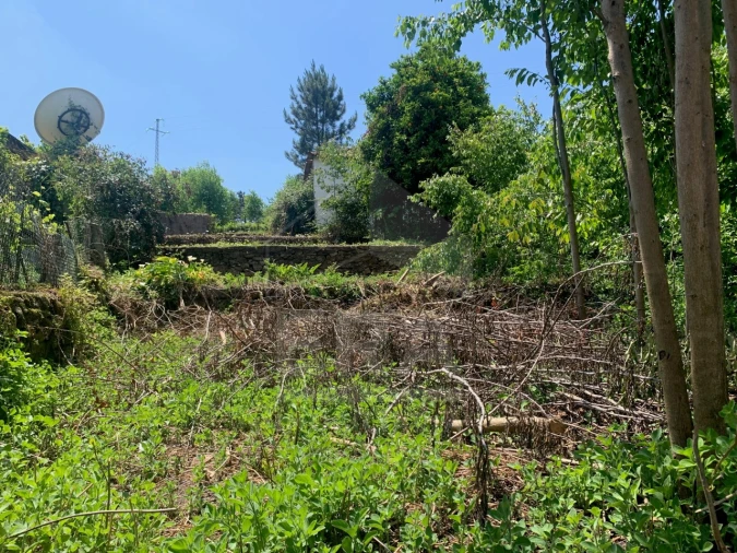 Terreno para Venda em Mazarefes e Vila Fria Foto 3