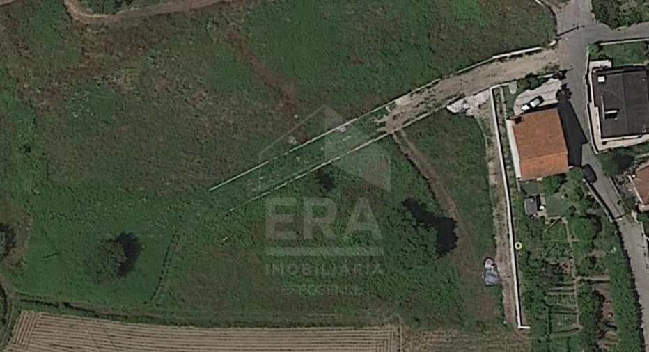 Terreno para Venda em Forjães Foto 4