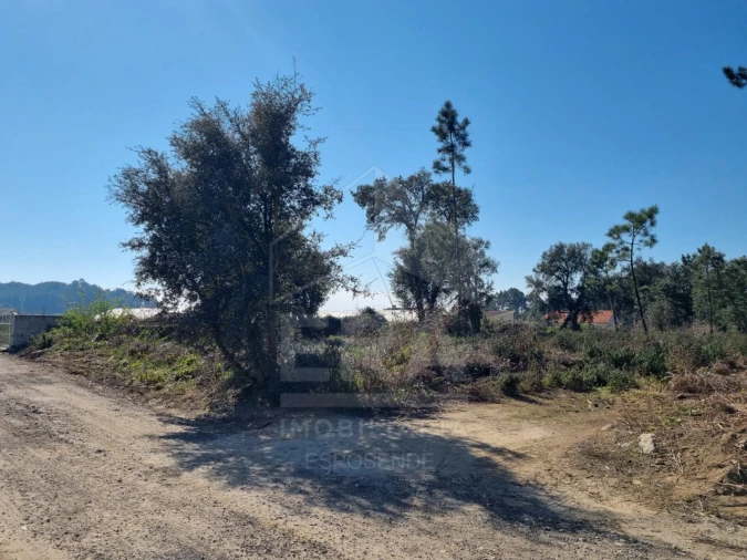 Terreno para Venda em Antas Foto 1