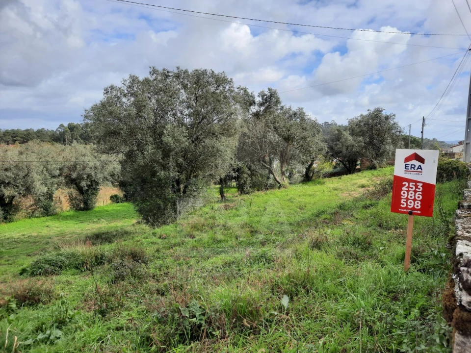 Terreno para Venda em Palmeira de Faro e Curvos Foto 2