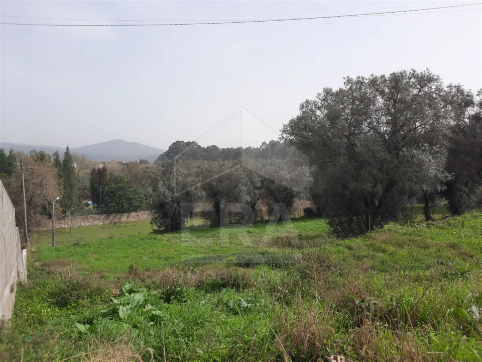 Terreno para Venda em Palmeira de Faro e Curvos Foto 5