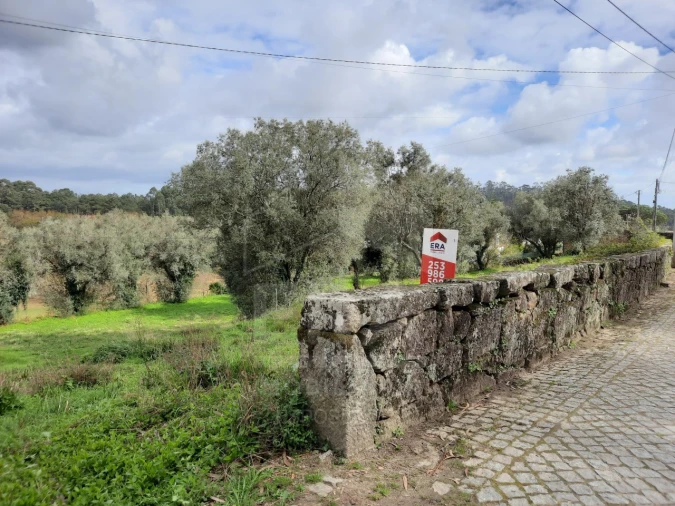 Terreno para Venda em Palmeira de Faro e Curvos