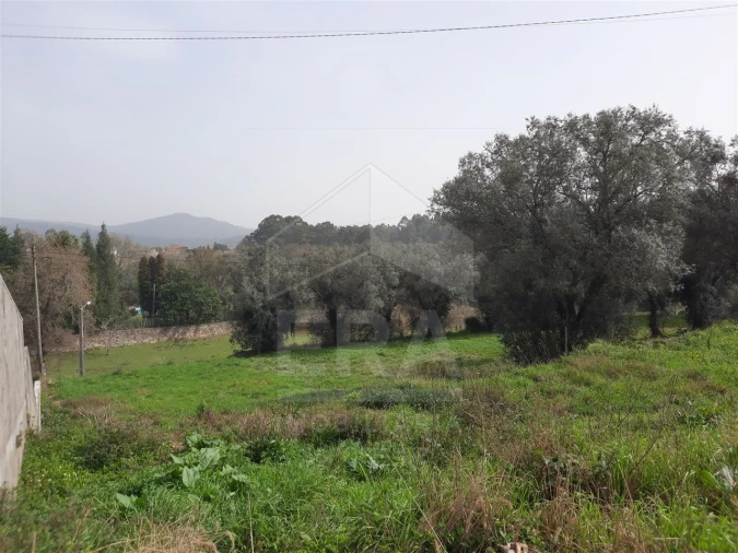 Terreno para Venda em Palmeira de Faro e Curvos Foto 5