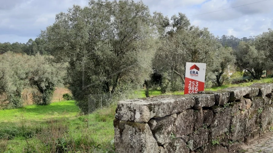 Terreno para Venda em Palmeira de Faro e Curvos