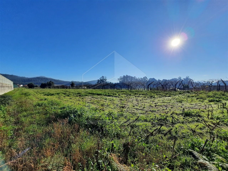 Terreno para Venda em Palmeira de Faro e Curvos Foto 2