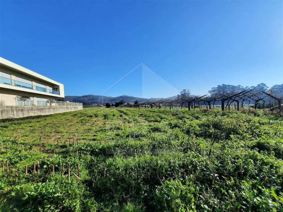 Terreno para Venda em Palmeira de Faro e Curvos Foto 3