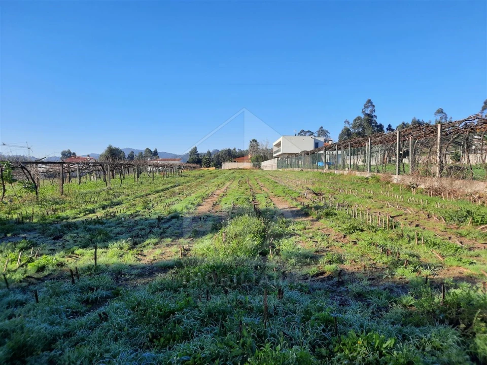 Terreno para Venda em Palmeira de Faro e Curvos Foto 7