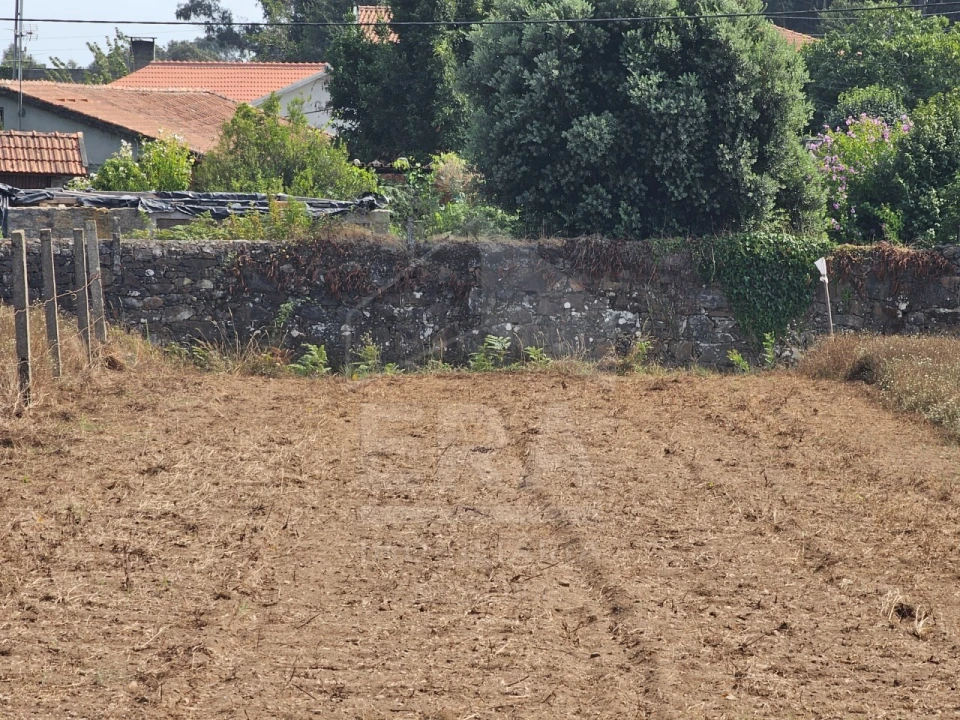 Terreno para Venda em Palmeira de Faro e Curvos Foto 3