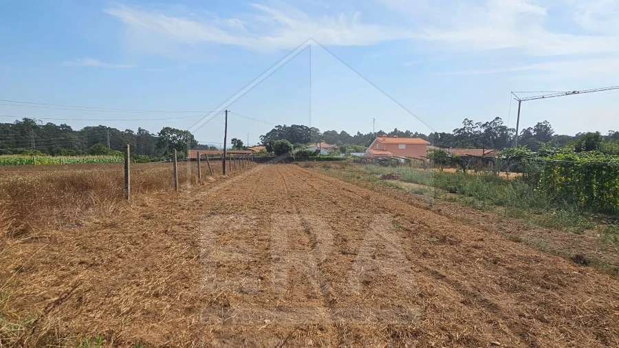 Terreno para Venda em Palmeira de Faro e Curvos