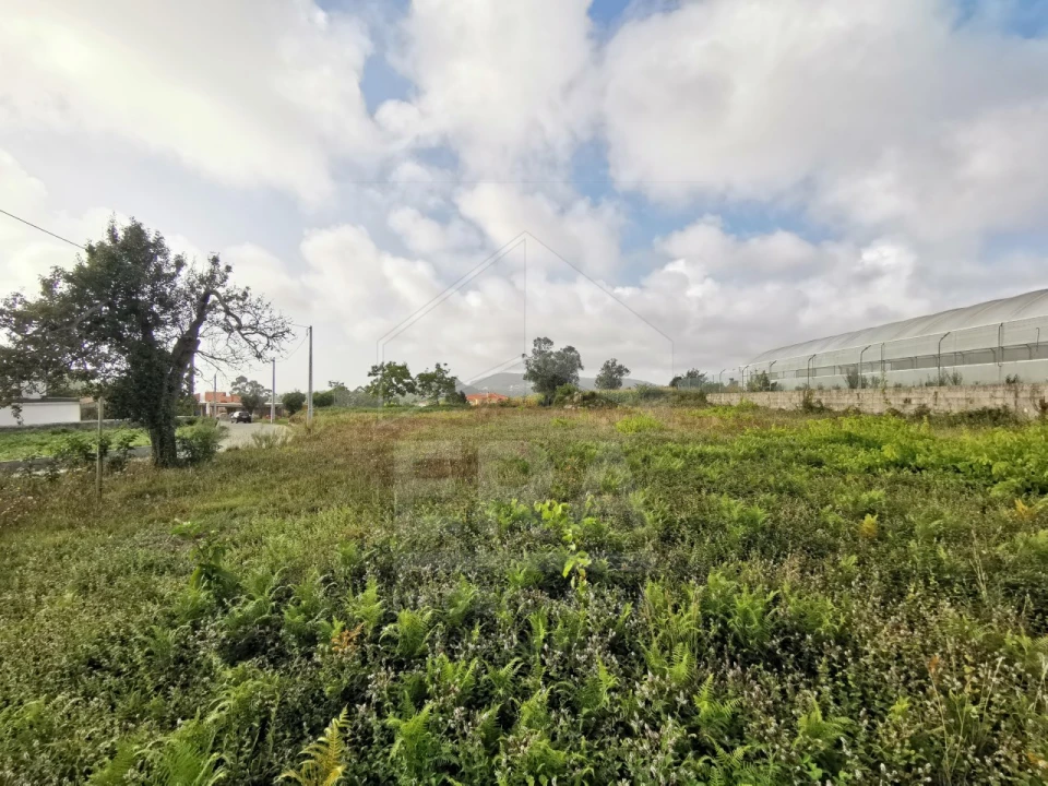 Terreno para Venda em Antas Foto 3
