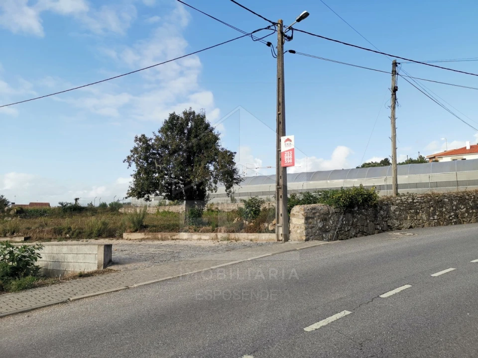 Terreno para Venda em Antas Foto 8