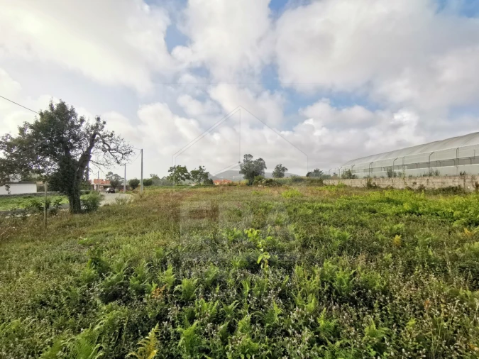 Terreno para Venda em Antas Foto 3