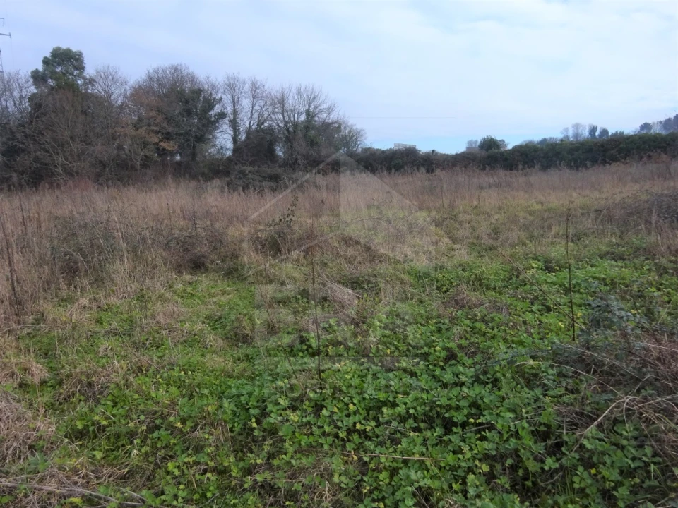 Terreno para Venda em Antas Foto 3