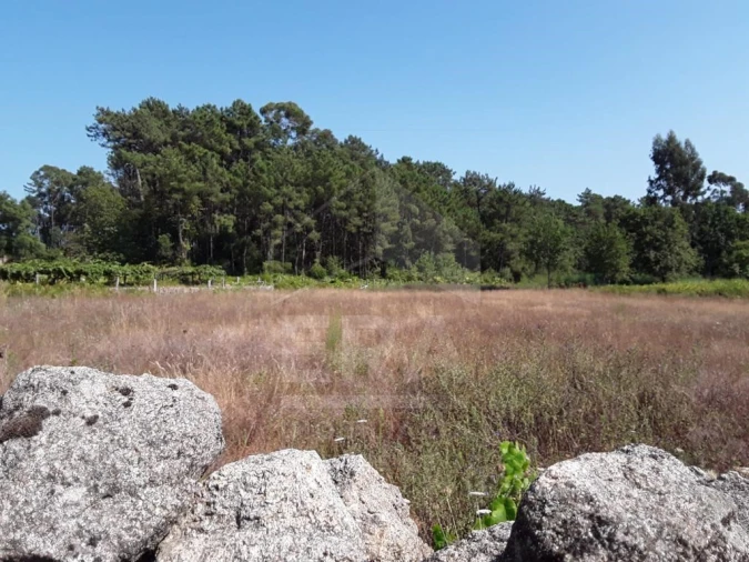 Terreno para Venda em Forjães Foto 2