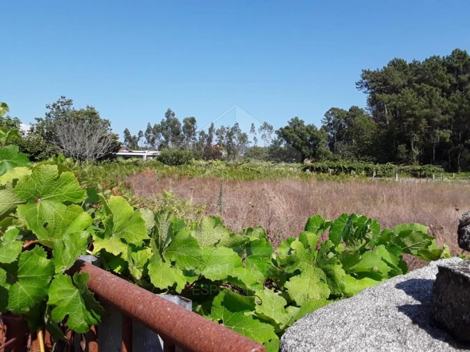 Terreno para Venda em Forjães Foto 4