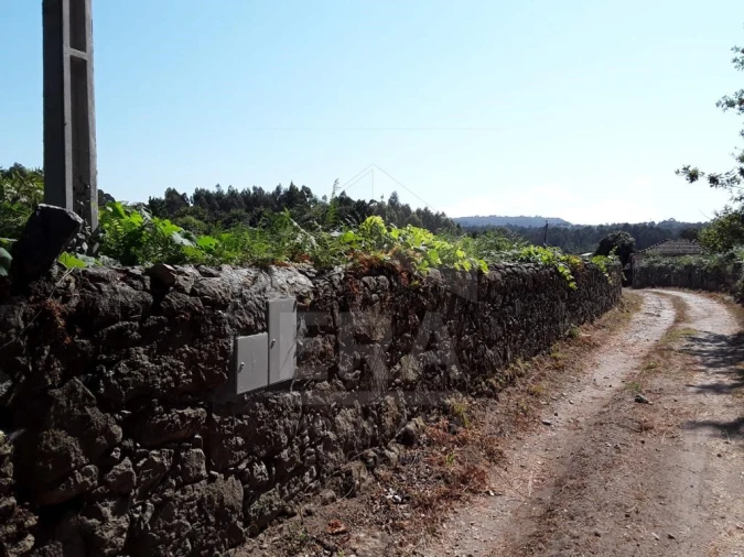 Terreno para Venda em Forjães Foto 5