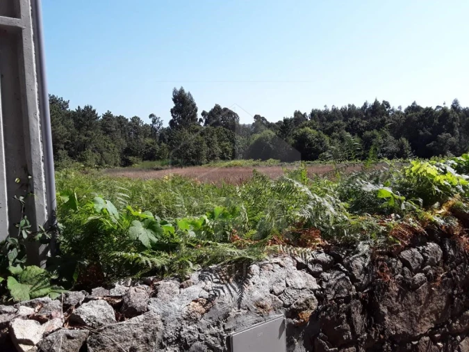 Terreno para Venda em Forjães Foto 6