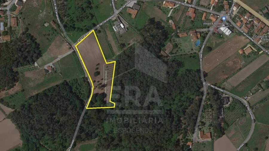 Terreno para Venda em Forjães