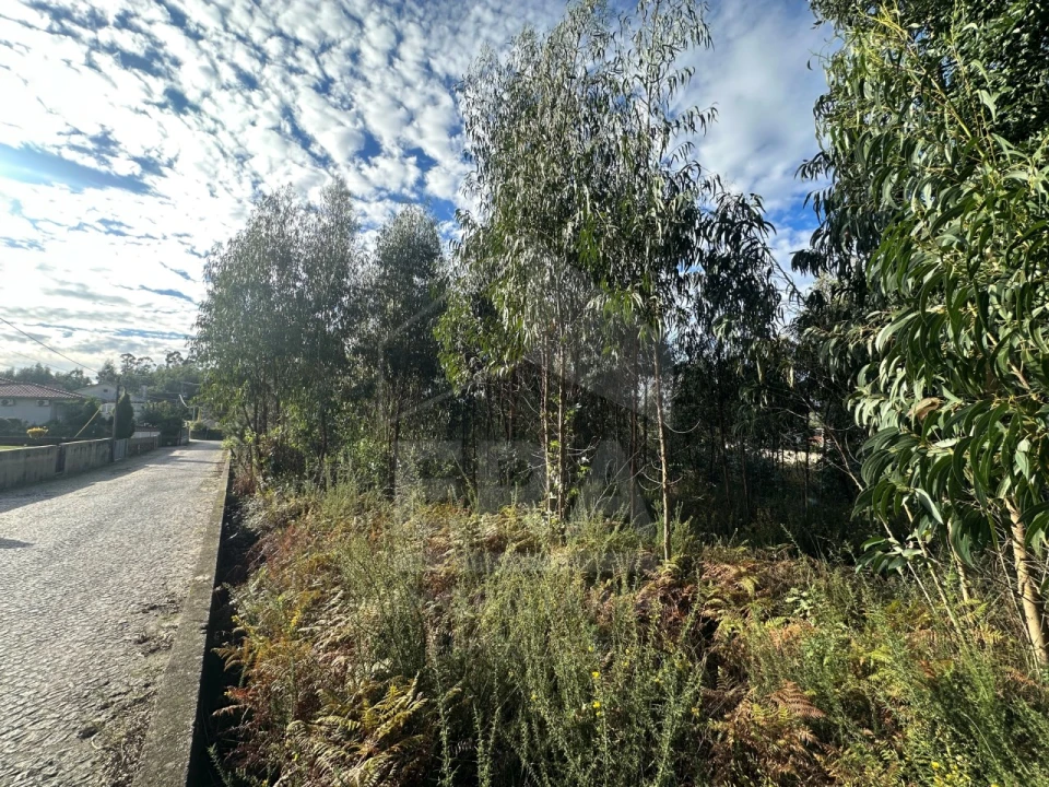 Terreno para Venda em Alvelos Foto 3