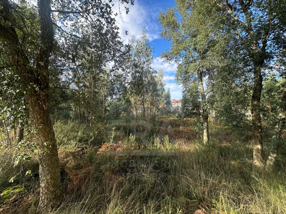 Terreno para Venda em Alvelos Foto 4