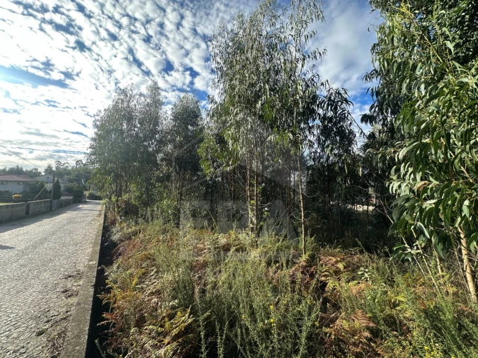 Terreno para Venda em Alvelos Foto 3
