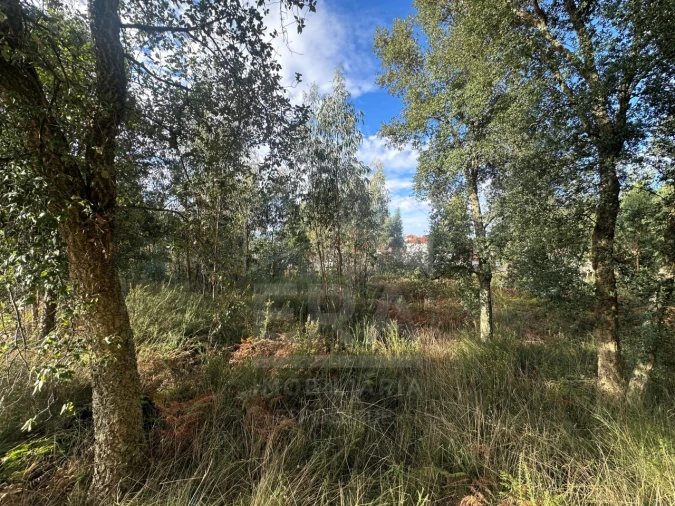 Terreno para Venda em Alvelos Foto 4