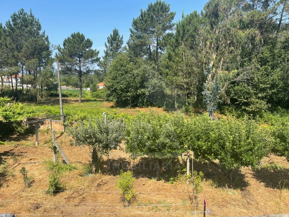 Terreno para Venda em Forjães Foto 4