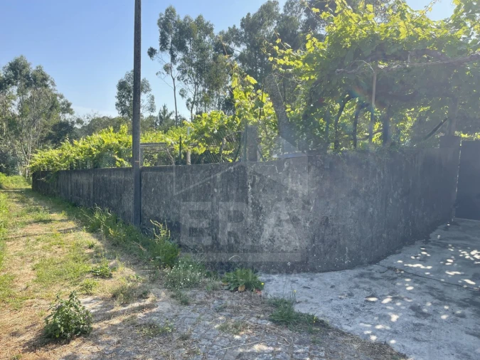 Terreno para Venda em Forjães Foto 2