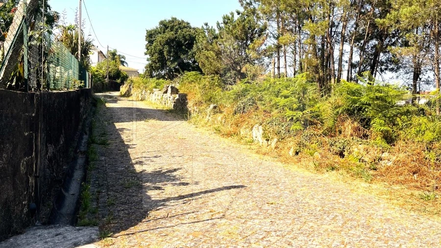 Terreno para Venda em Forjães