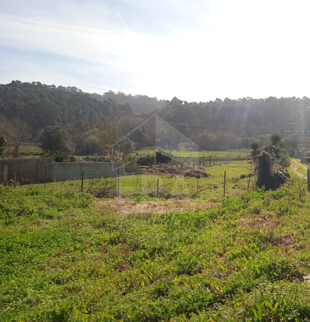 Terreno para Venda em Antas Foto 2