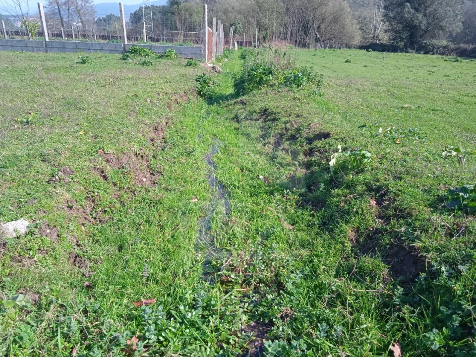 Terreno para Venda em Antas Foto 3