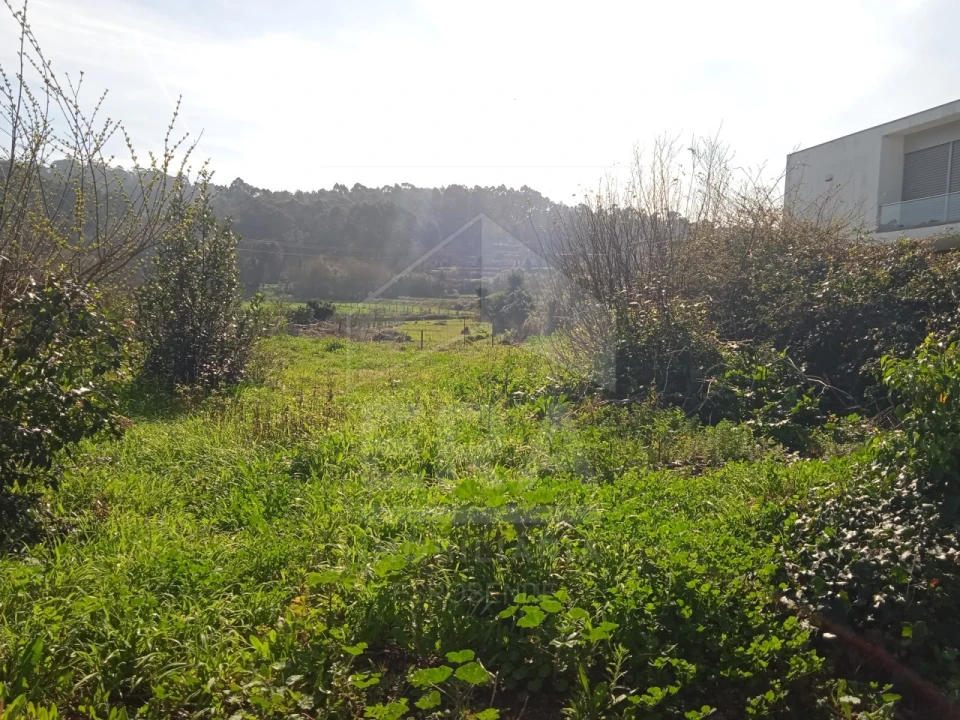 Terreno para Venda em Antas Foto 4