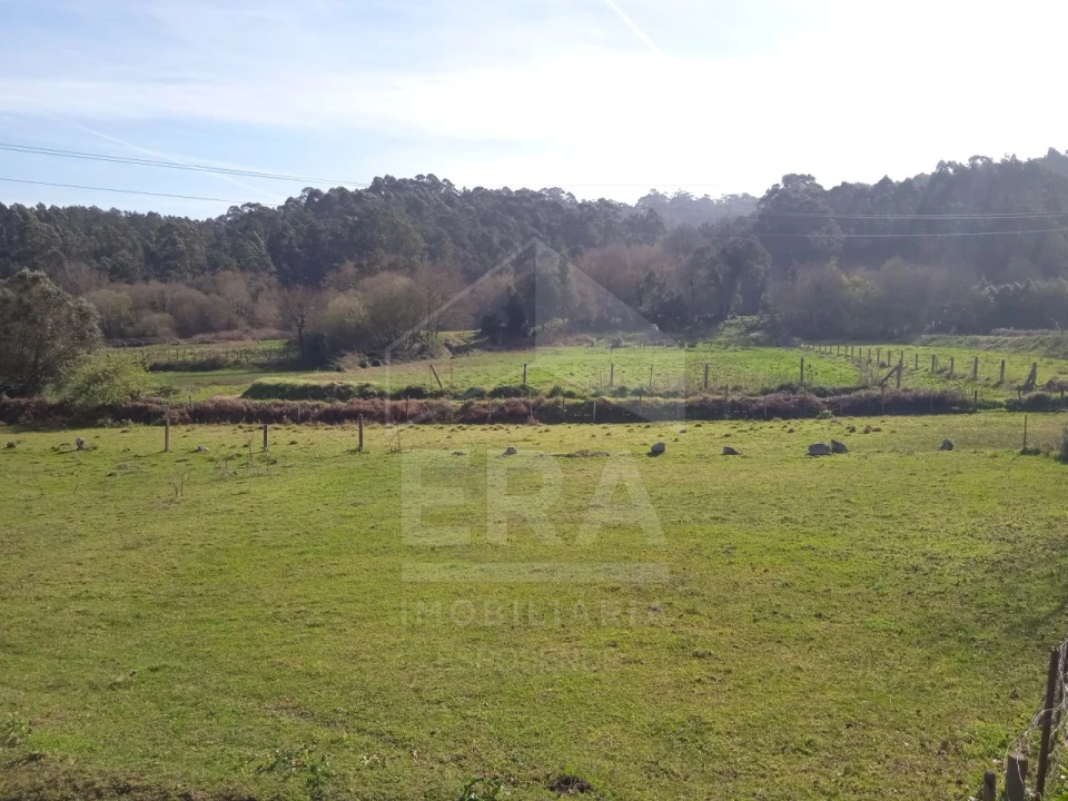 Terreno para Venda em Antas Foto 5