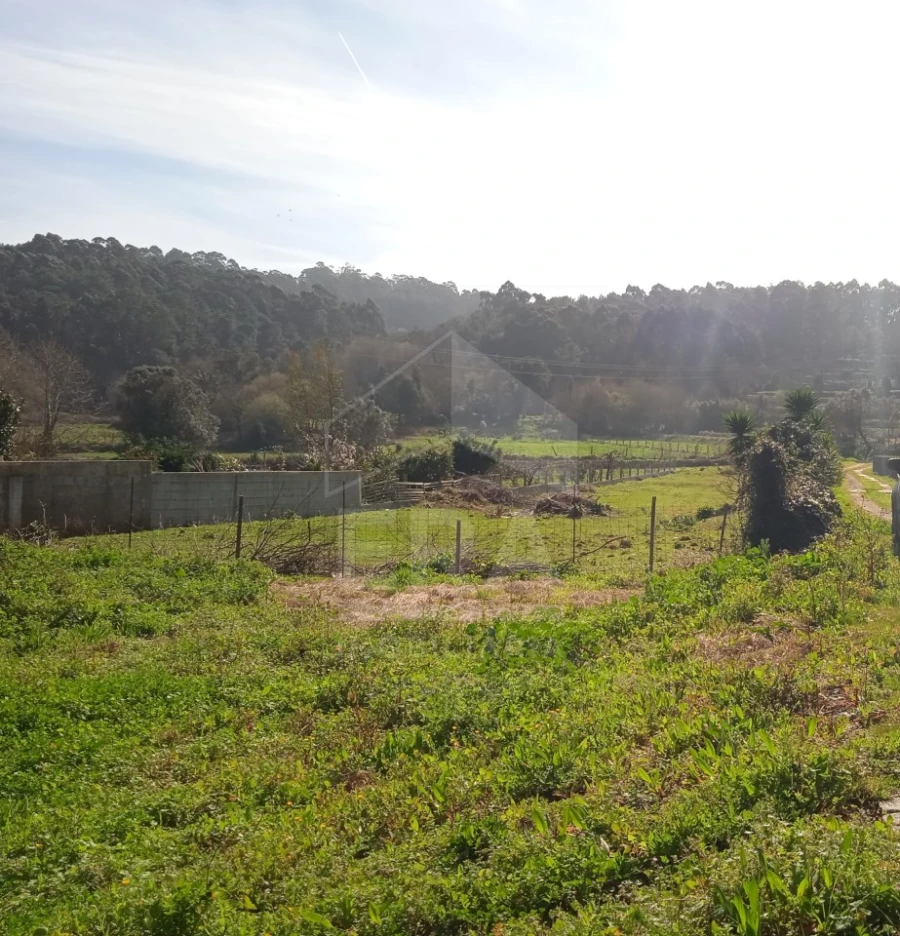 Terreno para Venda em Antas Foto 2