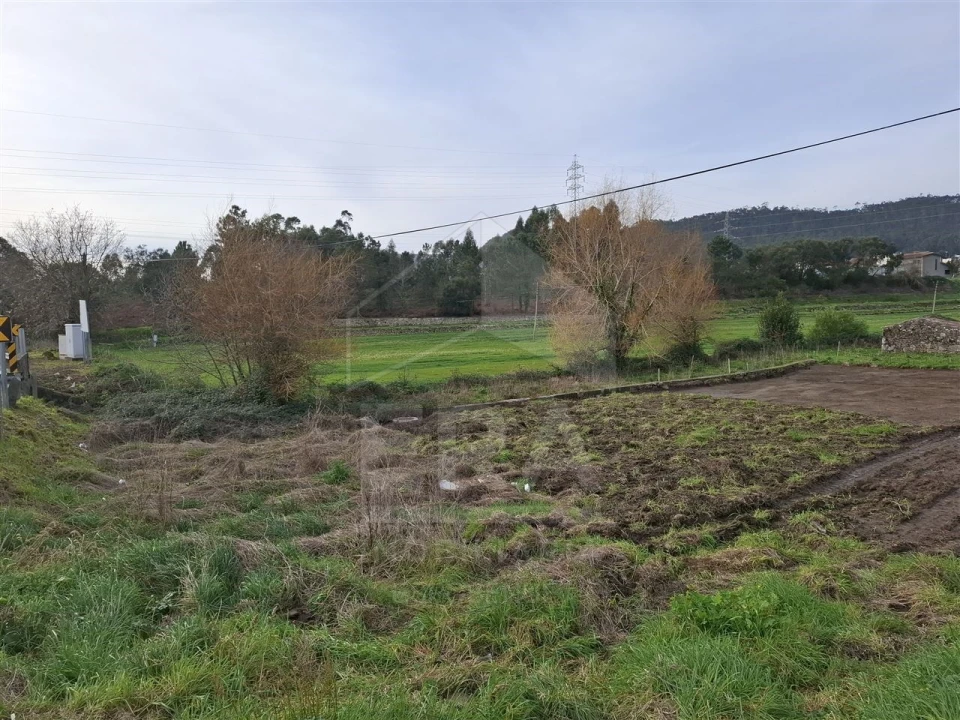Terreno para Venda em Palmeira de Faro e Curvos Foto 3