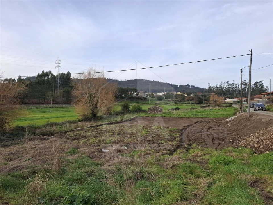 Terreno para Venda em Palmeira de Faro e Curvos Foto 5