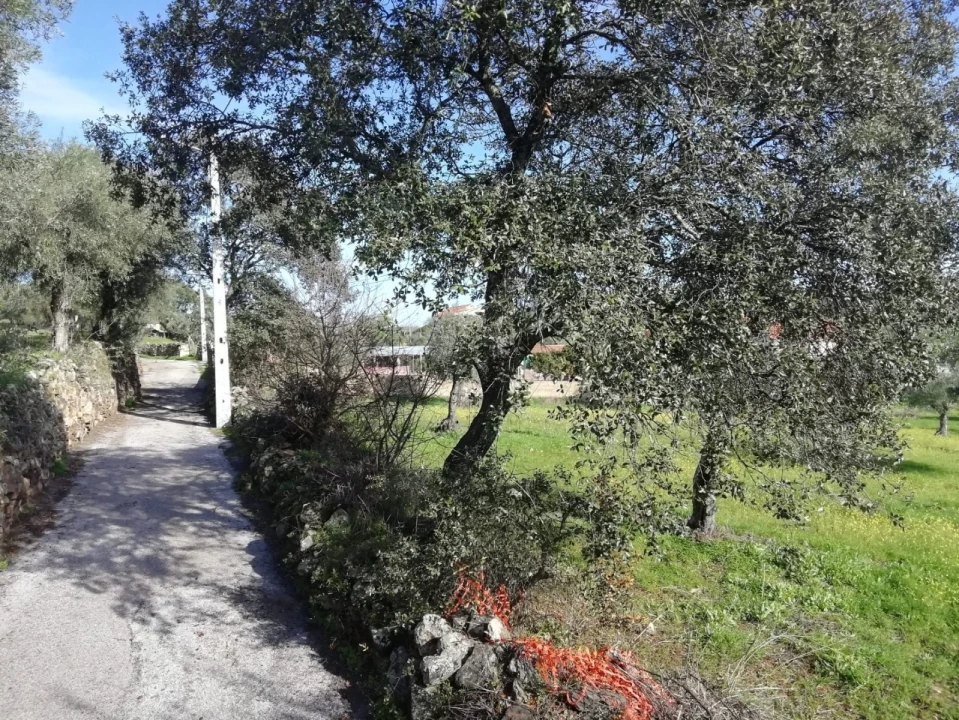Terreno para Venda em Zebreira e Segura Foto 8