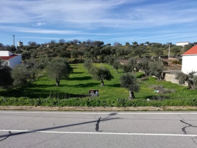 Terreno para Venda em Zebreira e Segura Foto 4