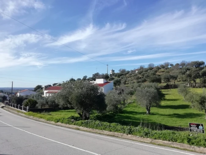 Terreno para Venda em Zebreira e Segura Foto 6