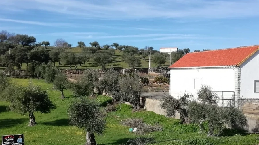 Terreno para Venda em Zebreira e Segura