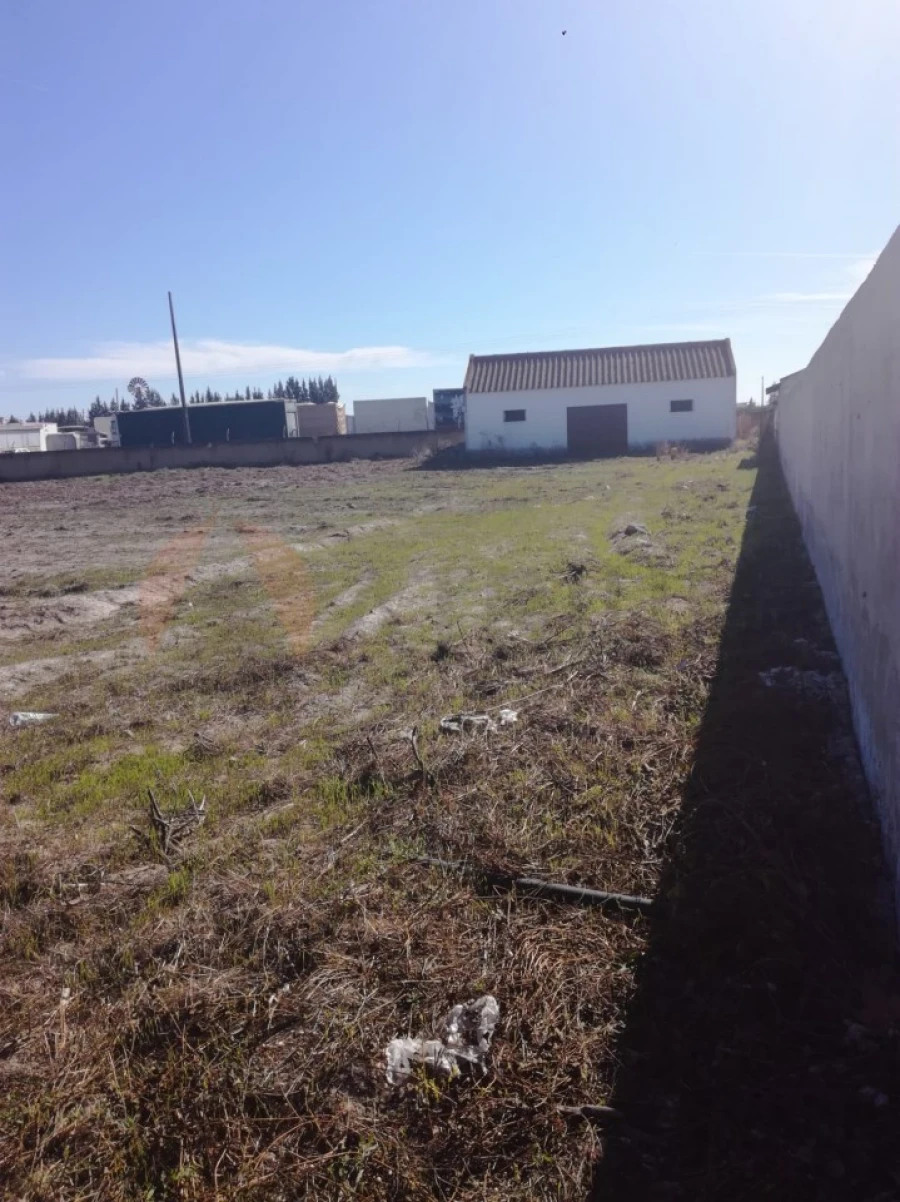 Terreno para Venda em Poceirão e Marateca Foto 4
