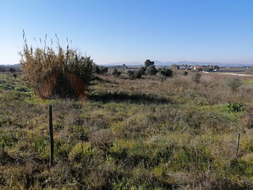 Terreno para Venda em Palmela Foto 4