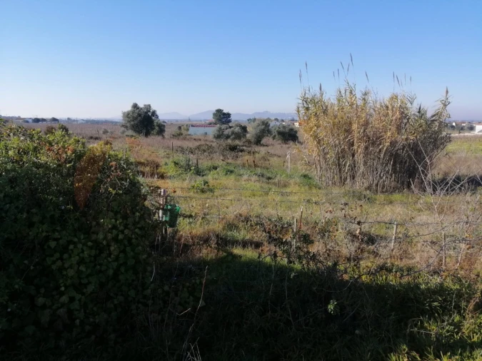 Terreno para Venda em Palmela Foto 2