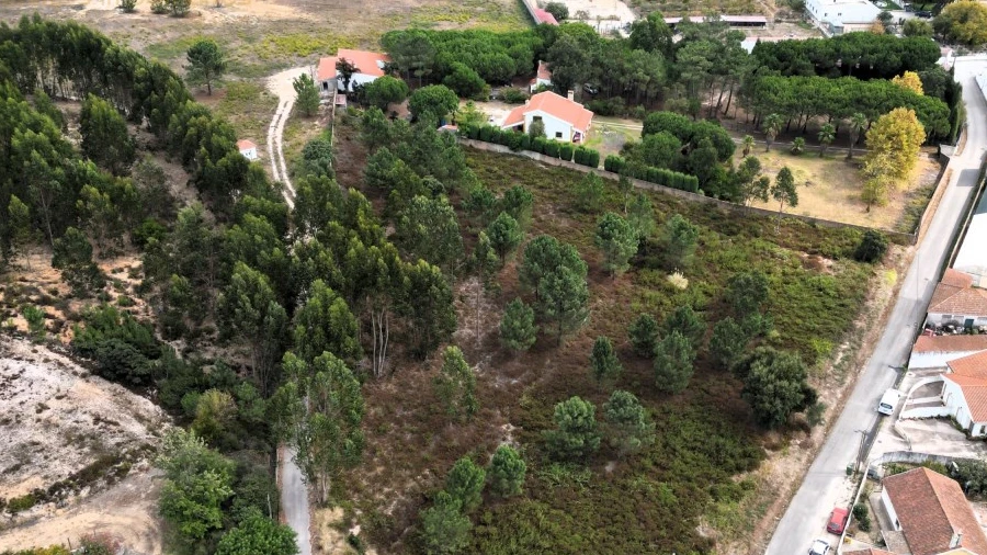 Terreno para Venda em Ramalhal