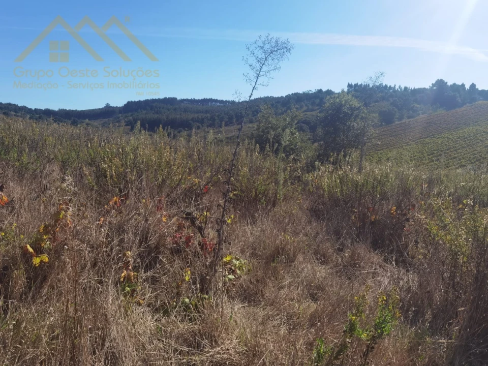 Terreno para Venda em Bombarral e Vale Covo Foto 1