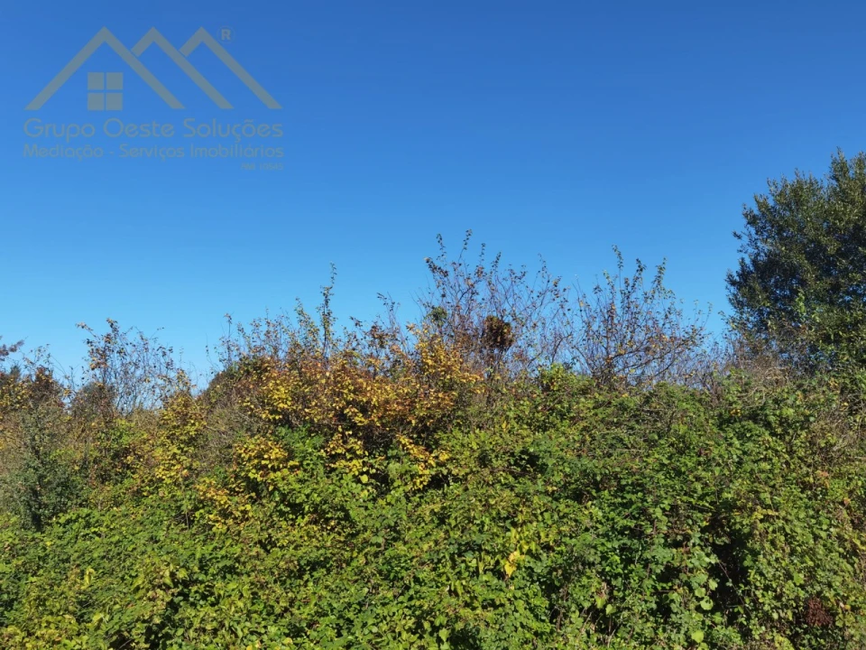Terreno para Venda em Bombarral e Vale Covo Foto 7