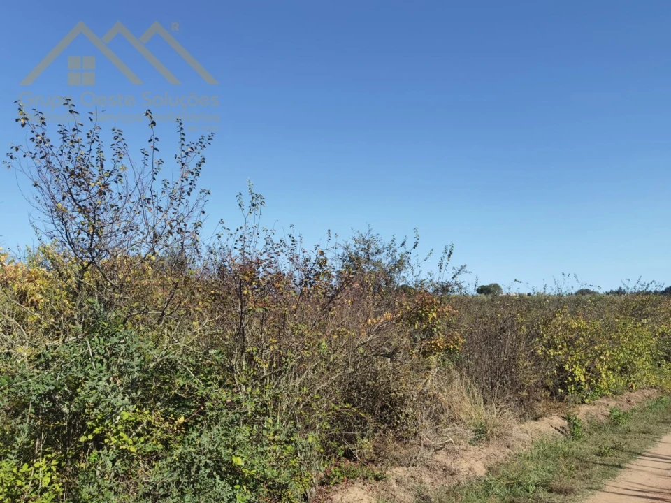 Terreno para Venda em Bombarral e Vale Covo Foto 11