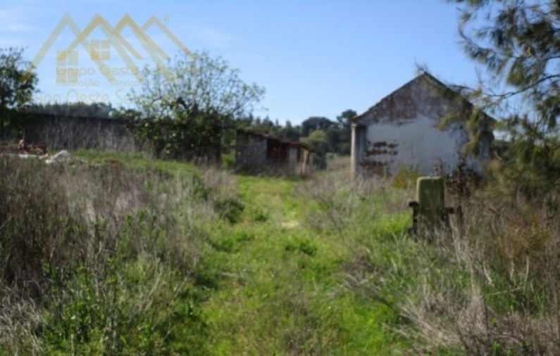 Terreno para Venda em Bombarral e Vale Covo Foto 8