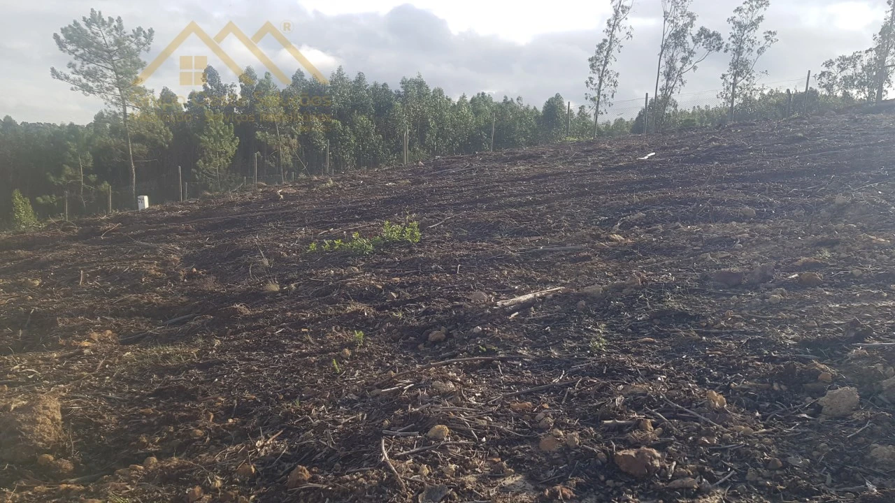 Terreno para Venda em Santa Maria, São Pedro e Matacães Foto 3
