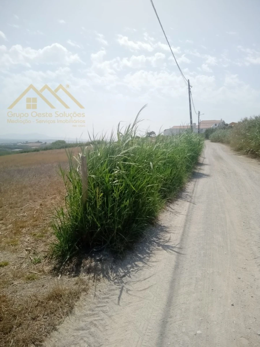 Terreno para Venda em Lourinhã e Atalaia Foto 5